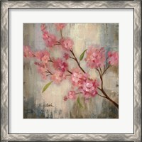 Framed 'Cherry Blossom II' border=