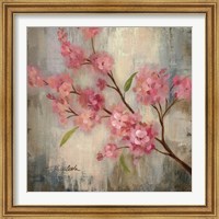 Framed 'Cherry Blossom II' border=