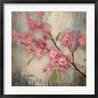 Cherry Blossom II Framed Print