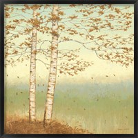 Framed Golden Birch I with Blue Sky