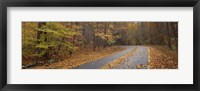 Framed Road passing through autumn forest, Great Smoky Mountains National Park, Cherokee, North Carolina, USA