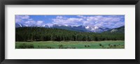 Framed Beaver Meadows Rocky Mountain National Park CO USA