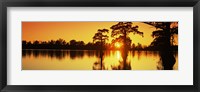 Framed Cypress trees at sunset, Horseshoe Lake Conservation Area, Alexander County, Illinois, USA