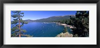 Framed Trees with lake in the background, Lake Tahoe, California, USA