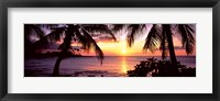 Framed Palm trees on the coast, Kohala Coast, Big Island, Hawaii, USA