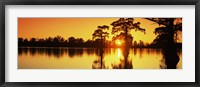 Framed Cypress trees at sunset, Horseshoe Lake Conservation Area, Alexander County, Illinois, USA