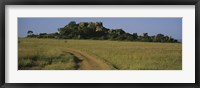 Framed Road passing through a grassland, Simba Kopjes, Road Serengeti, Tanzania, Africa