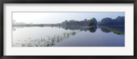 Framed Standing floodwater, Mississippi River, Illinois, USA