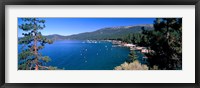 Framed Trees with lake in the background, Lake Tahoe, California, USA