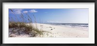 Framed Tall grass on the beach, Perdido Key Area, Gulf Islands National Seashore, Pensacola, Florida, USA