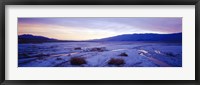 Framed Snow covered landscape in winter at dusk, Temple Sinacana, Zion National Park, Utah, USA