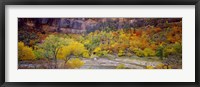 Framed Big Bend in fall, Zion National Park, Utah, USA