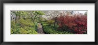 Framed Trees in a garden, Garden of Eden, Ladew Topiary Gardens, Monkton, Baltimore County, Maryland, USA