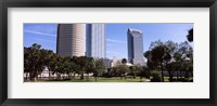 Framed Buildings in a city viewed from a park, Plant Park, University Of Tampa, Tampa, Hillsborough County, Florida, USA