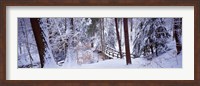 Framed Winter footbridge Cleveland Metro Parks, Cleveland OH USA