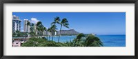 Framed Palm Trees On The Beach, Waikiki Beach, Honolulu, Oahu, Hawaii, USA