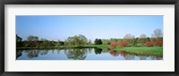 Framed Pond at a golf course, Towson Golf And Country Club, Towson, Baltimore County, Maryland, USA