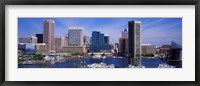 Framed Inner Harbor Federal Hill Skyline Baltimore MD