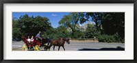 Framed Tourists Traveling In A Horse Cart, NYC, New York City, New York State, USA