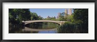 Framed Bridge across a lake, Central Park, New York City, New York State, USA