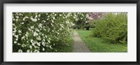 Framed Path In A Park, Richmond, Virginia, USA