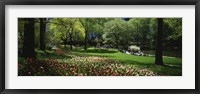 Framed Flowers in a park, Central Park, Manhattan, New York City, New York State, USA