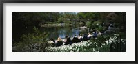 Framed Group of people sitting on benches near a pond, Central Park, Manhattan, New York City, New York State, USA