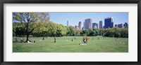 Framed Group Of People In A Park, Sheep Meadow, Central Park, NYC, New York City, New York State, USA