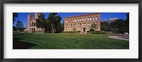 Framed Lawn in front of a Royce Hall and Haines Hall, University of California, City of Los Angeles, California, USA