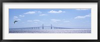 Framed Sunshine Skyway Bridge with Parachuter, Tampa Bay, Florida