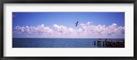 Framed Pier over the sea, Fort De Soto Park, Tampa Bay, Gulf of Mexico, St. Petersburg, Pinellas County, Florida, USA