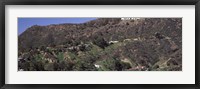 Framed Hollywood Hills, Hollywood, California