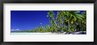 Framed Beach With Palm Trees, Bora Bora, Tahiti