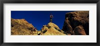 Framed Mountain Bikers CA USA