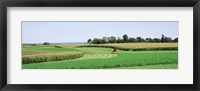 Framed Harvesting, Farm, Frederick County, Maryland, USA