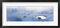 Framed Bison West Thumb Geyser Basin Yellowstone National Park, Wyoming, USA