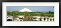 Framed Vineyards Terrace at Winery Napa Valley CA USA