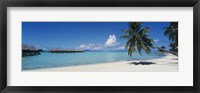 Framed Palm Tree On The Beach, Moana Beach, Bora Bora, Tahiti, French Polynesia