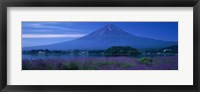 Framed Mount Fuji Japan