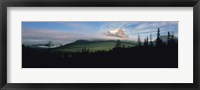 Framed Silhouette of trees with a mountain in the background, Canadian Rockies, Alberta, Canada