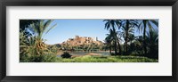 Framed Palm trees with a fortress in the background, Tiffoultoute, Ouarzazate, Marrakesh, Morocco