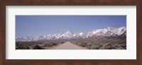 Framed USA, California, Sierra Nevada, Bushes on both sides of a road