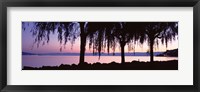 Framed Weeping Willows, Lake Geneva, St Saphorin, Switzerland