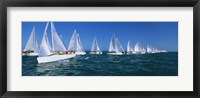 Framed Sailboats racing in the ocean, Key West, Florida