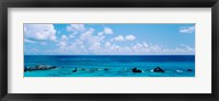 Framed Bermuda, Atlantic Ocean