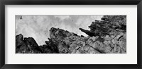 Framed Birds Nesting In Cliffs, Norway