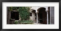 Framed Ivy on the wall of a house, Girona, Spain