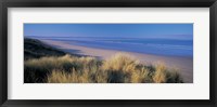 Framed Tall grass on the coastline, Saunton, North Devon, England