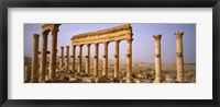Framed Ruins in Palmyra, Syria