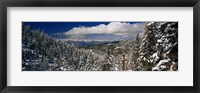 Framed Snow covered pine trees in a forest with a lake in the background, Lake Tahoe, California, USA